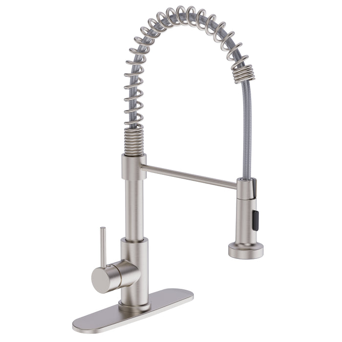Kitchen Faucet  Coiled Sprayer  Brushed Nickel